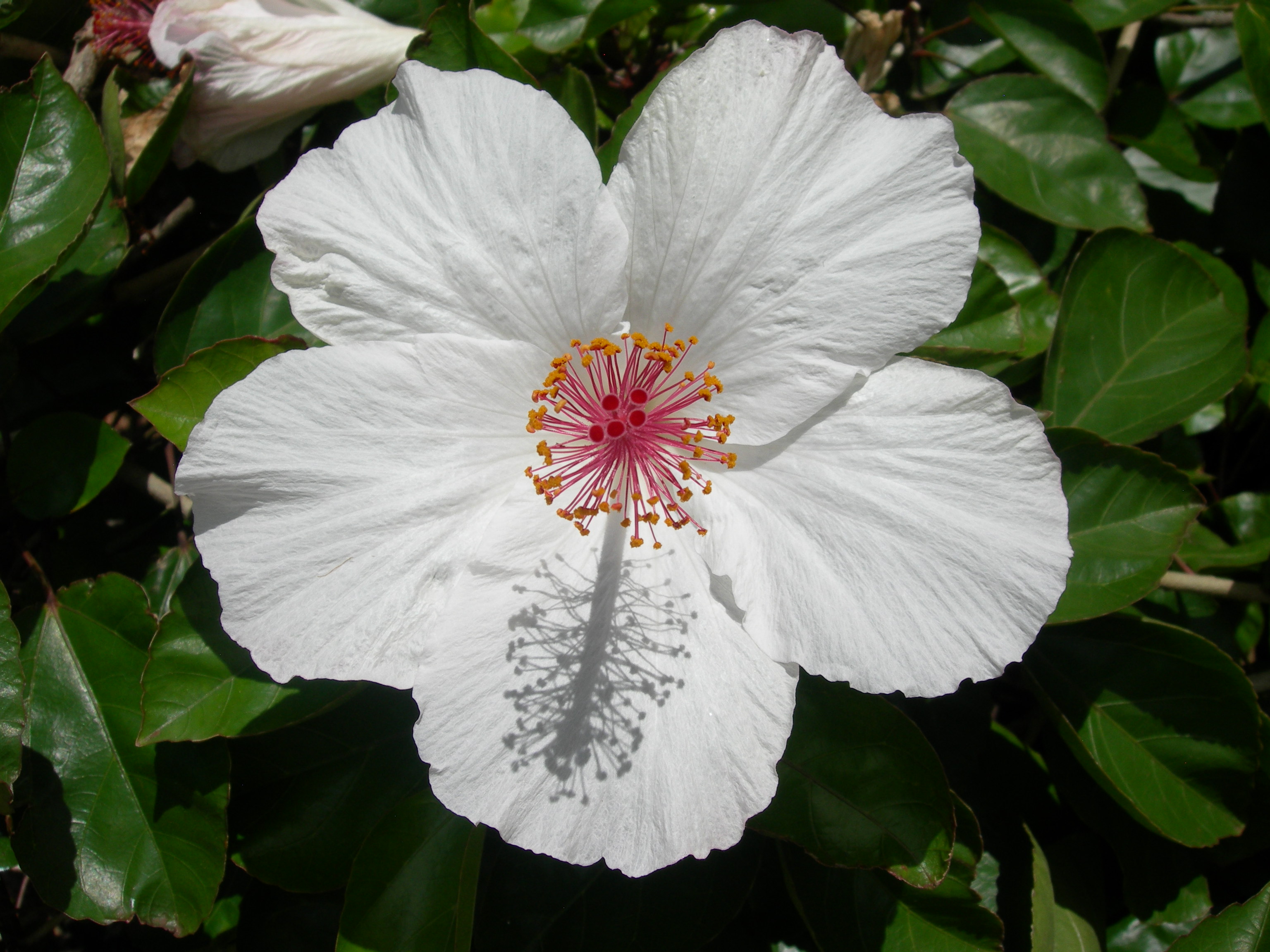 DSCN1917.JPG